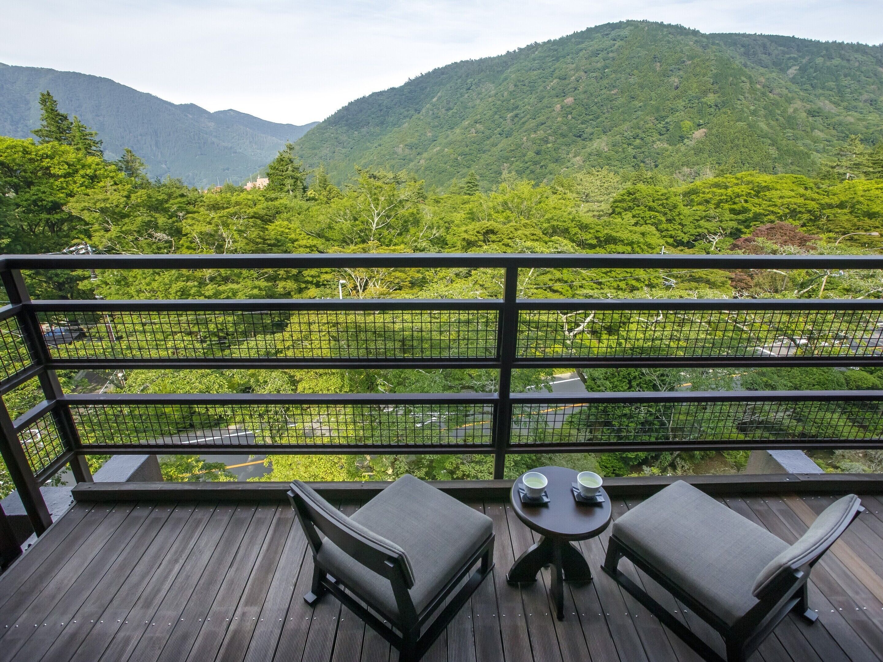 Foto - Hakone Kowakien Tenyu