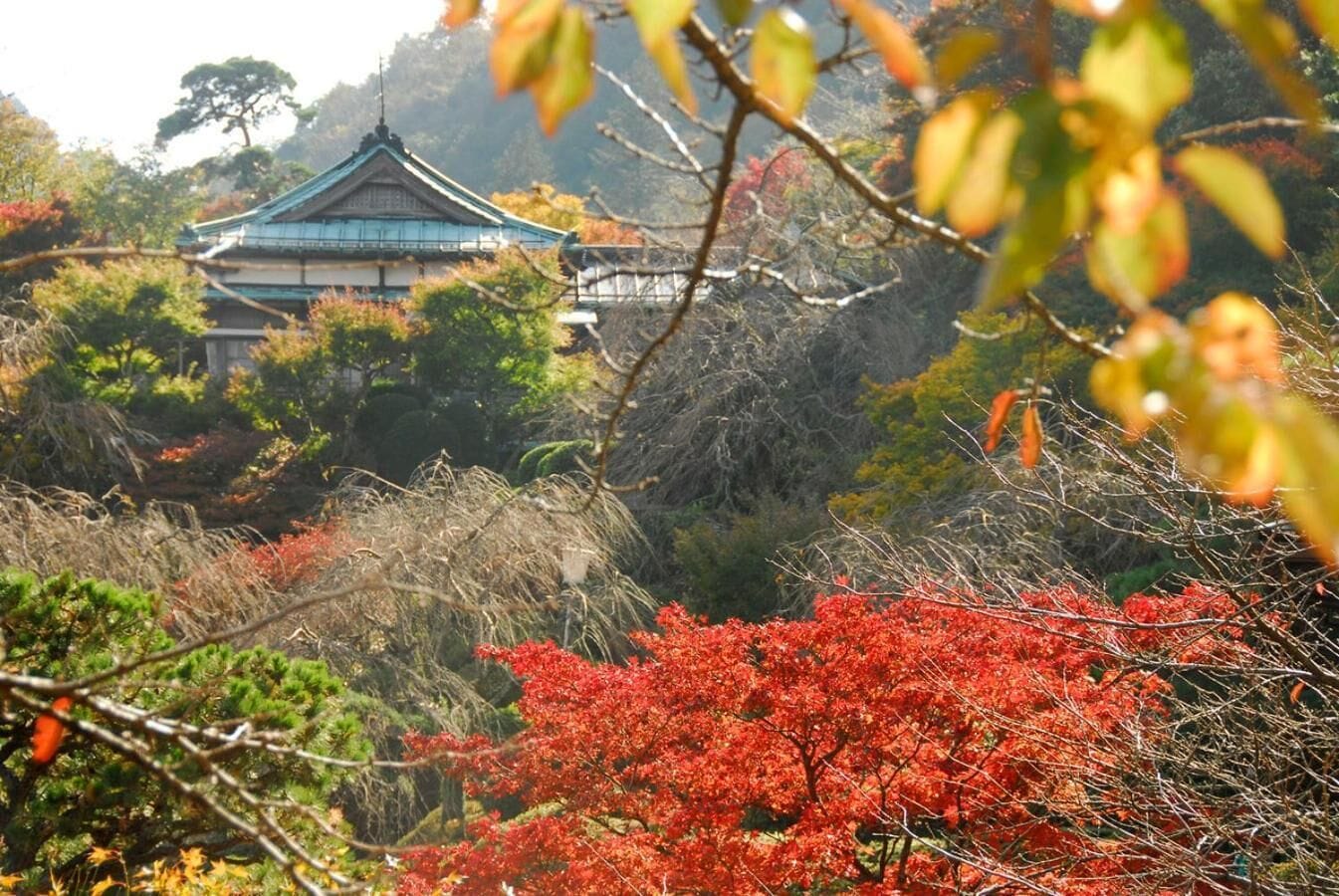 A traditional Japanese building surrounded by autumn foliage.