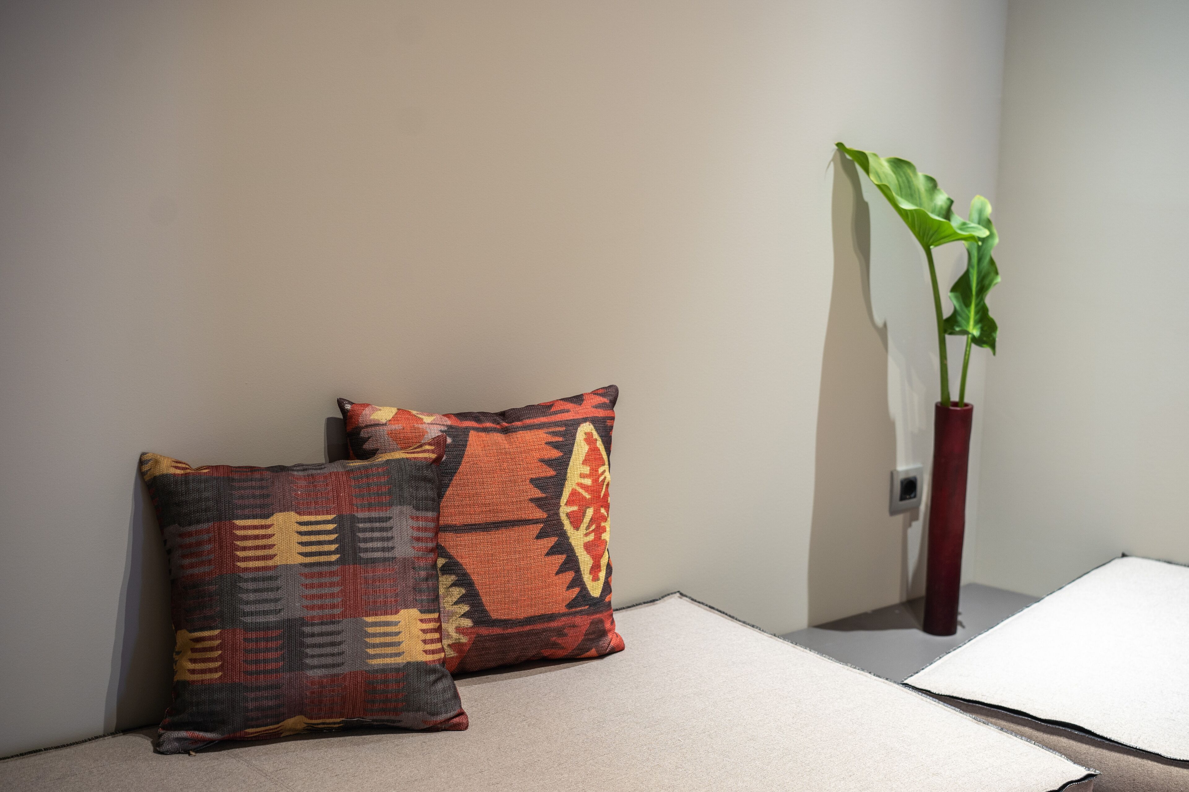Canto de um quarto com duas almofadas estampadas e um vaso com planta.