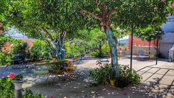 庭園