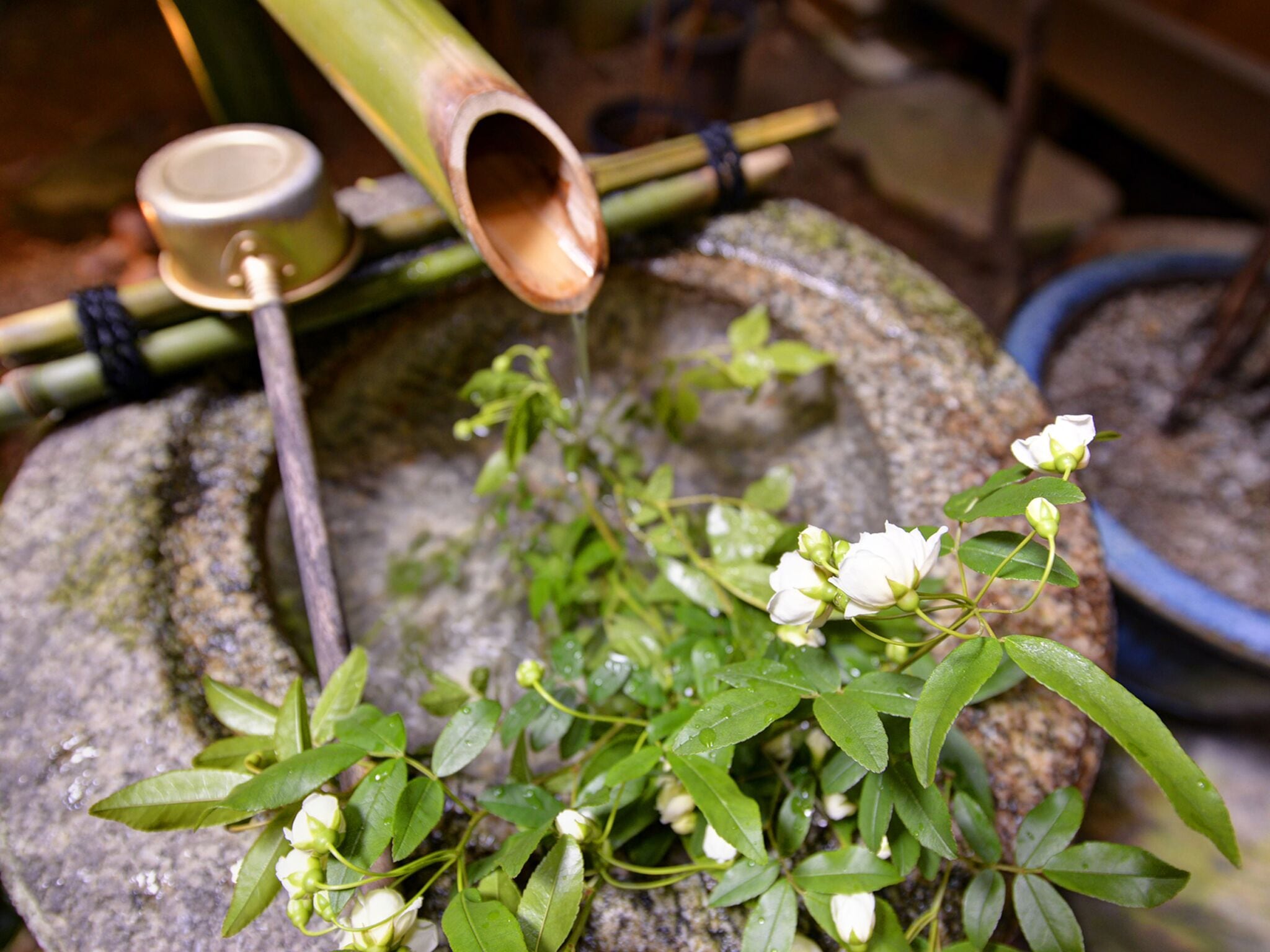 Photo - Yamamoto Ryokan