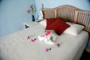 واي فاي مجانًا