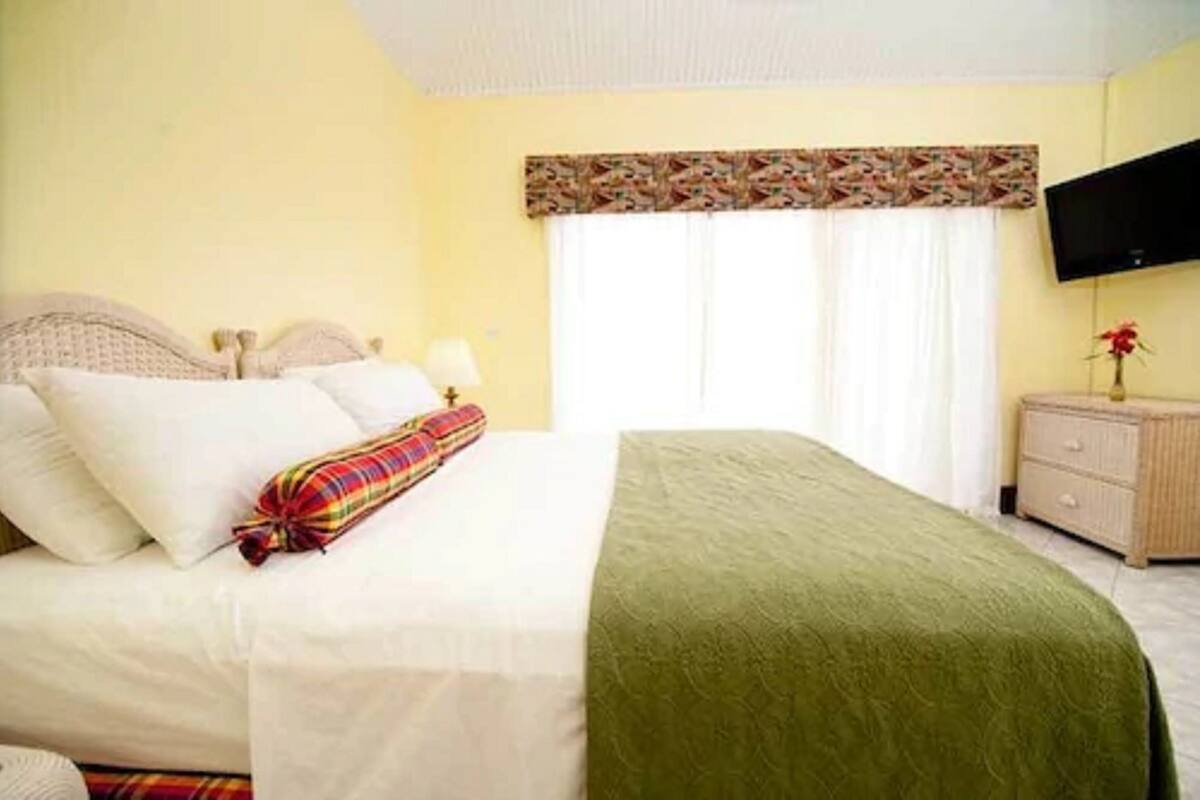 Une chambre à coucher avec un lit, une table de chevet, un téléviseur et une fenêtre avec des rideaux.