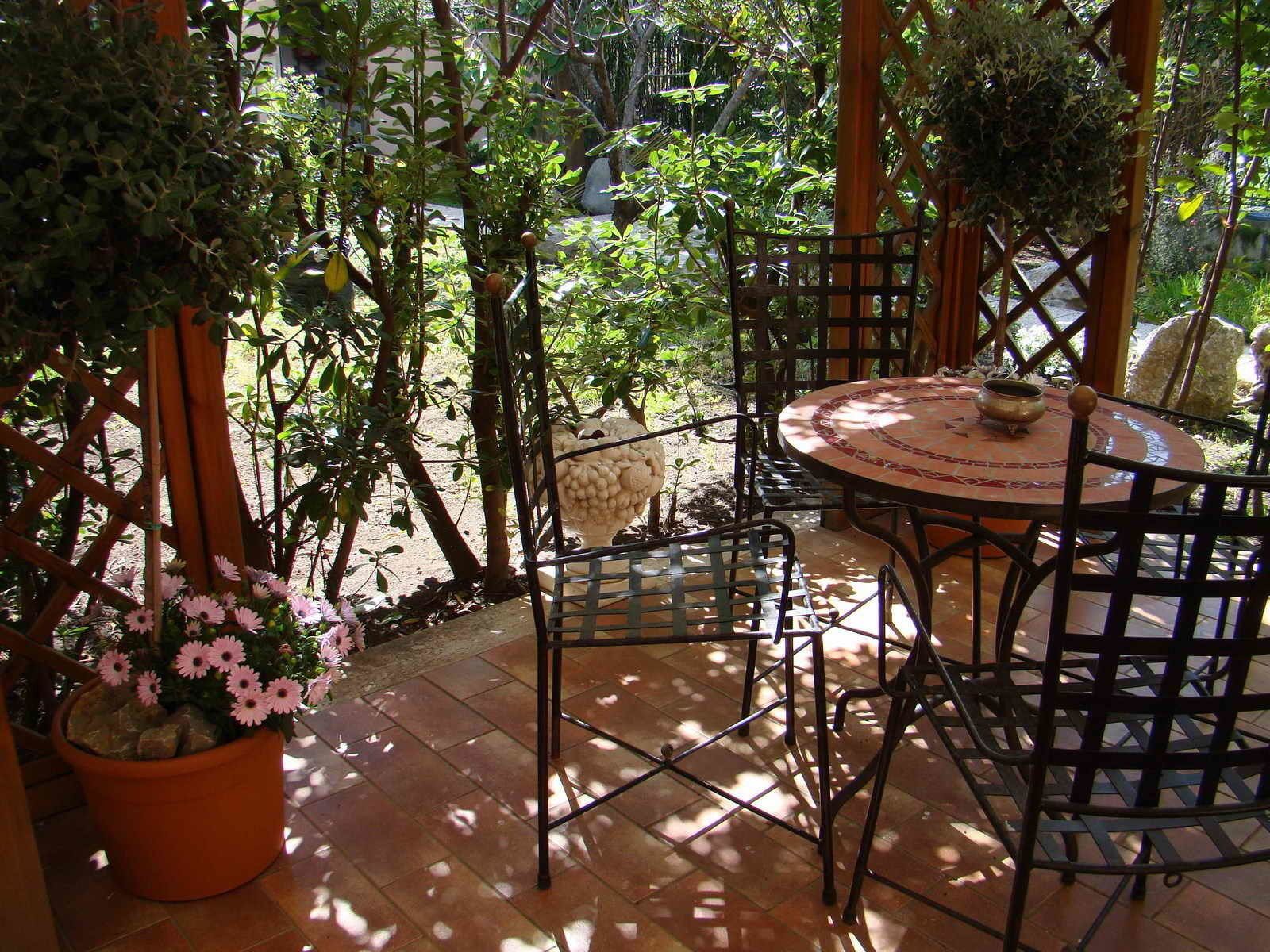Terraza o patio