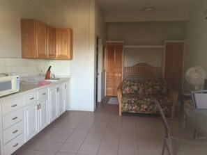 Monolocale, 1 letto matrimoniale, cucina | Cucina privata | Frigorifero con congelatore, microonde, piano cottura