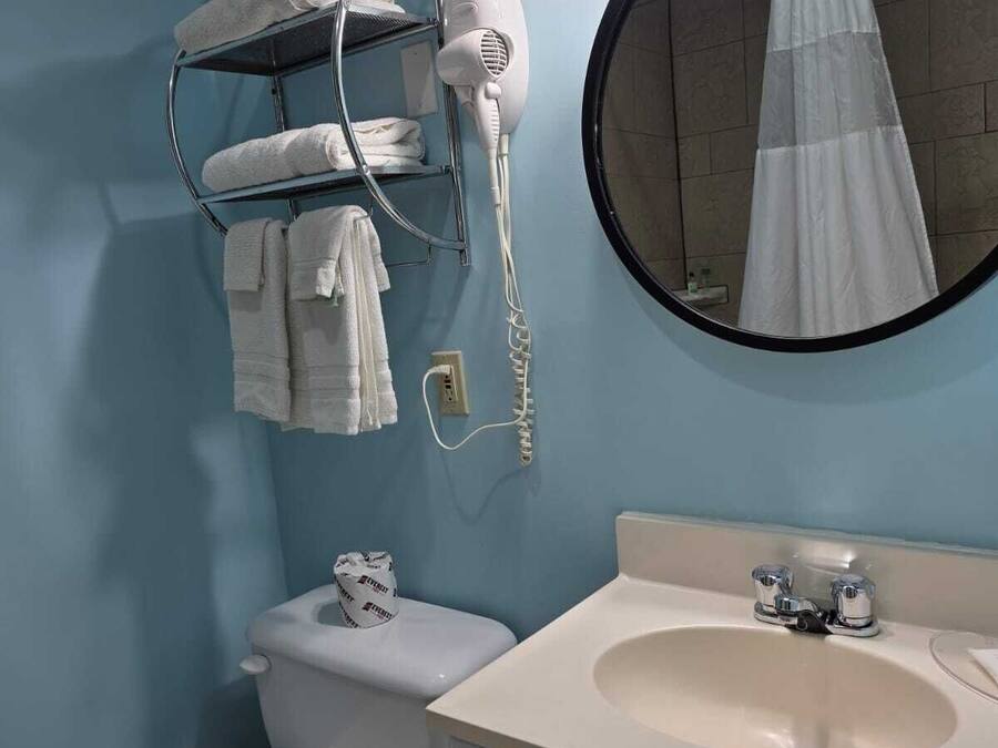 A bathroom with a toilet, a sink, a towel rack, a hairdryer, and a mirror.