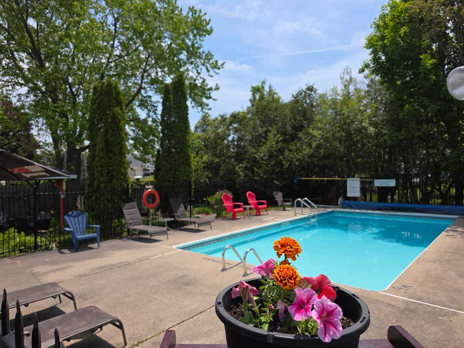 Piscine extérieure