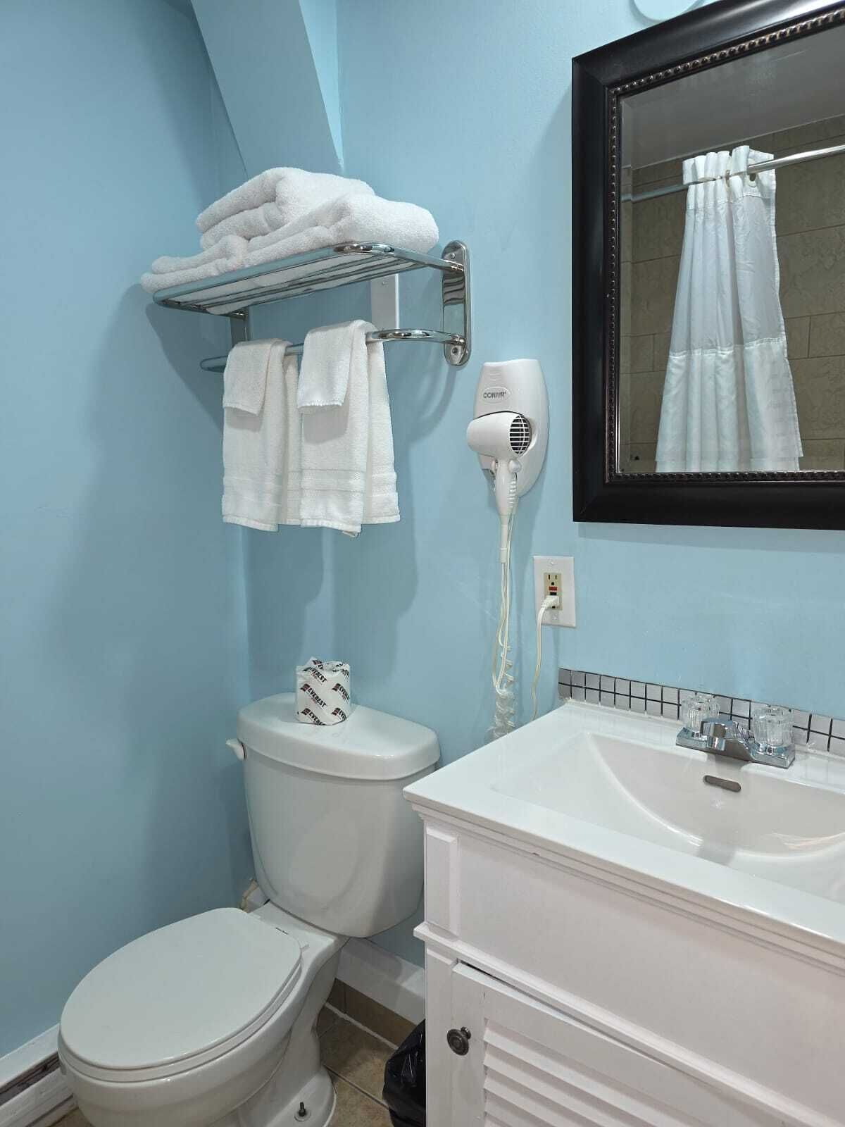 A bathroom with a toilet, a sink, a towel rack, and a hairdryer.