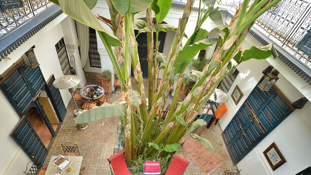 Courtyard view - Riad Aloès Marrakech (Marrakech)