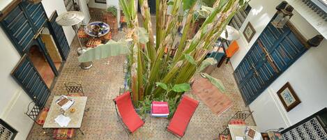 إطلالة على الفناء