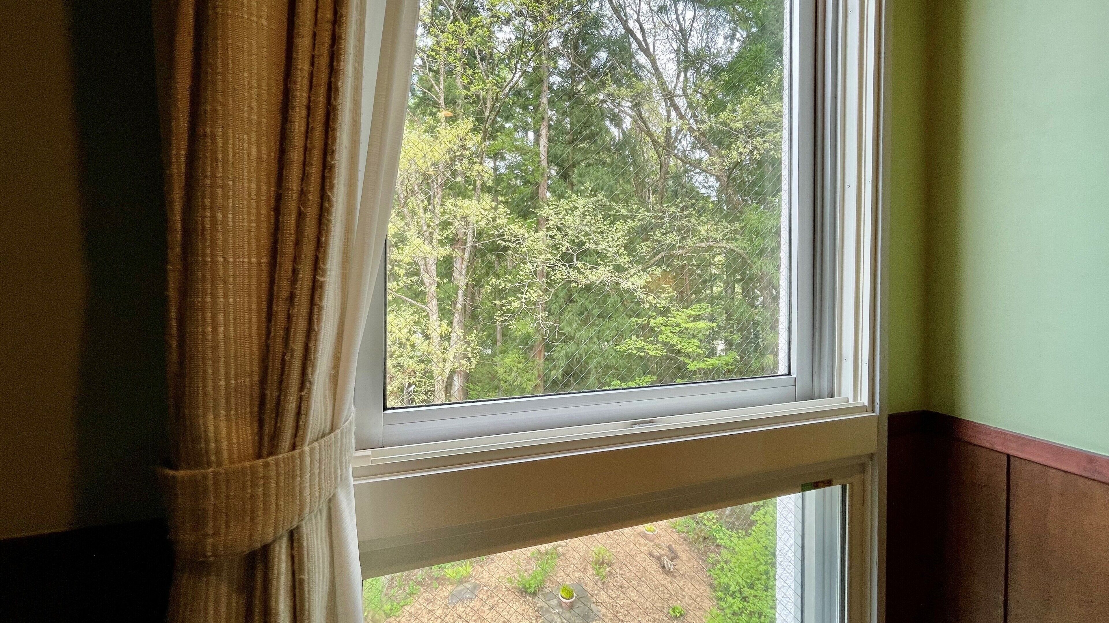 A window with a view of a forested area outside.