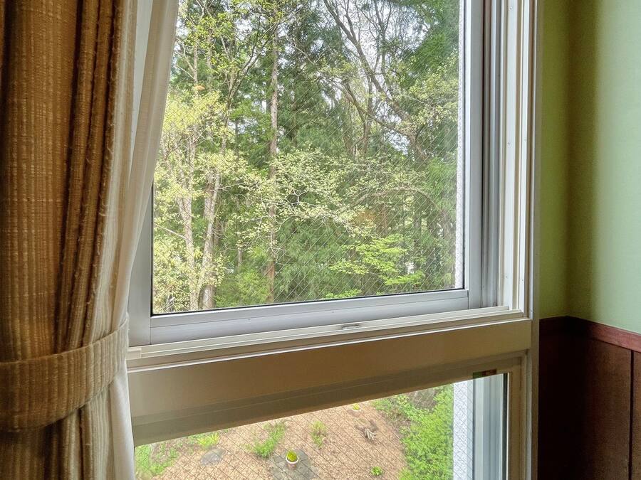 A window with a view of a forested area outside.