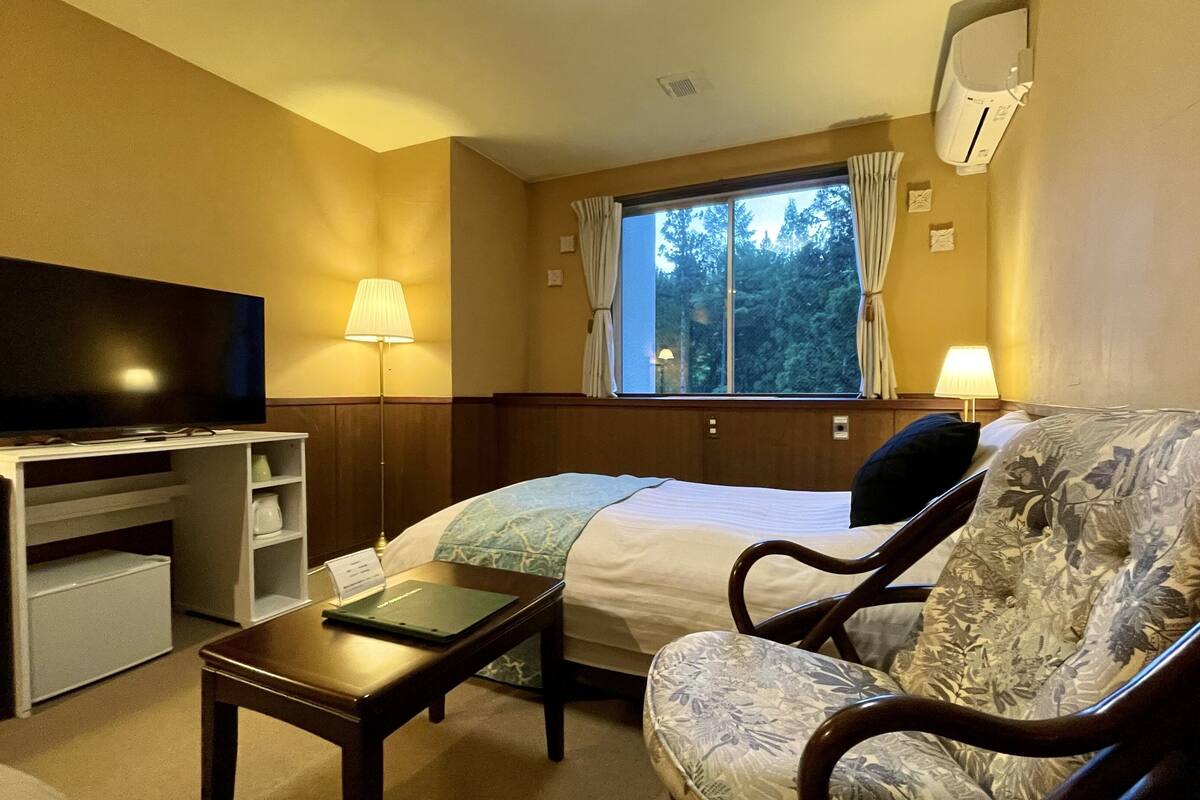 A hotel room with a bed, a desk, a chair, a television, and a window with curtains.