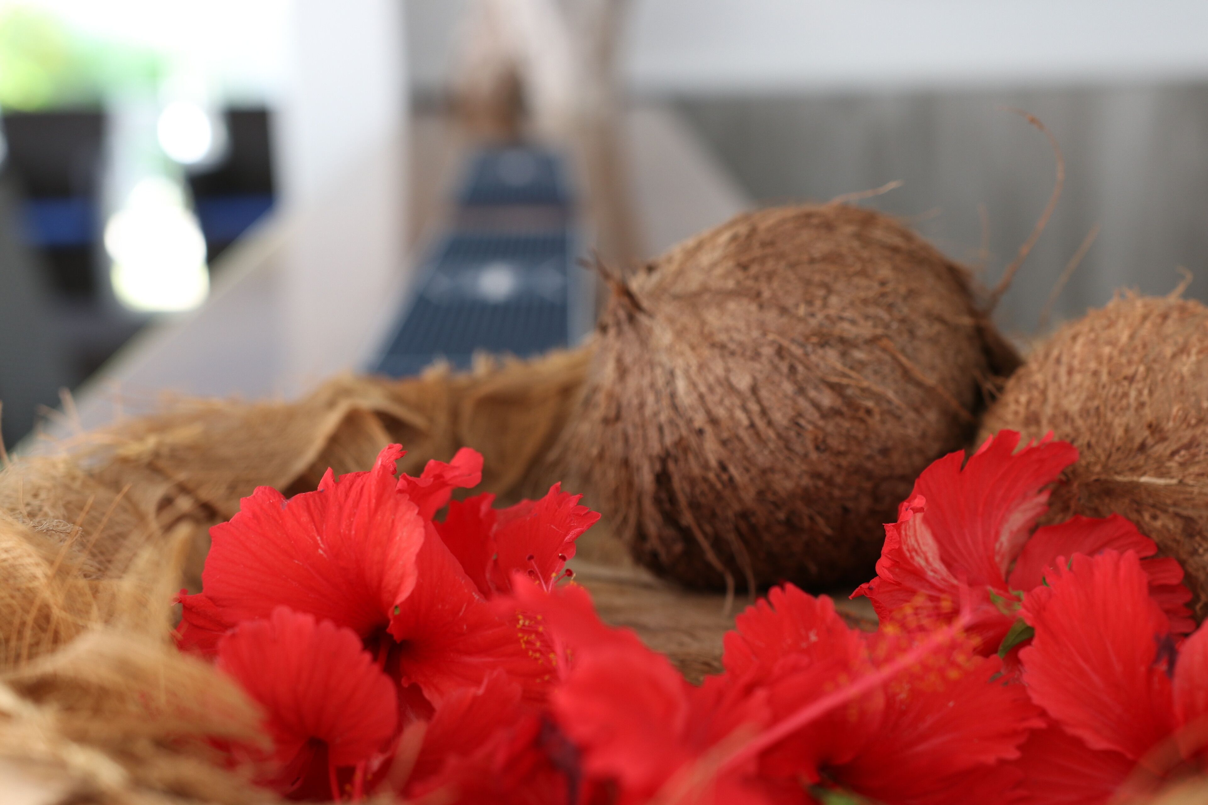 Photo - Hotel La Roussette