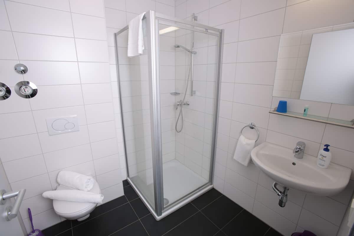 shower, free toiletries, hair dryer, towels