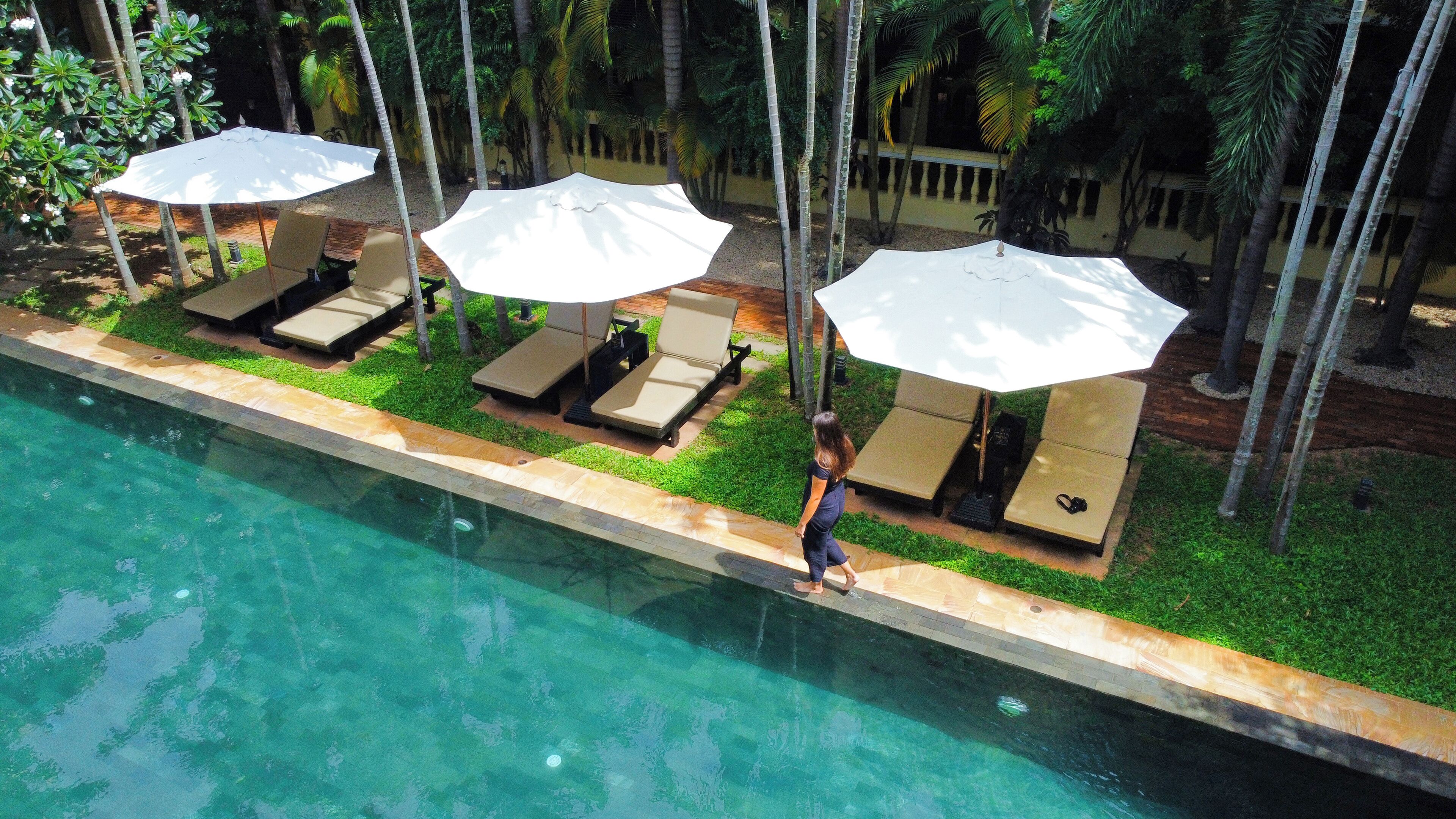 A poolside area with lounge chairs and umbrellas, surrounded by palm trees.