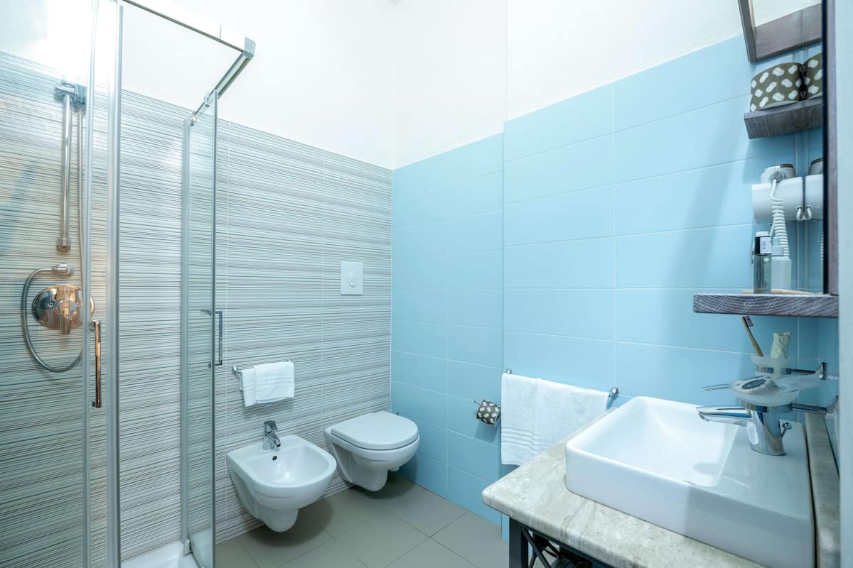 Duş, saç kurutma makinesi, bide, havlu