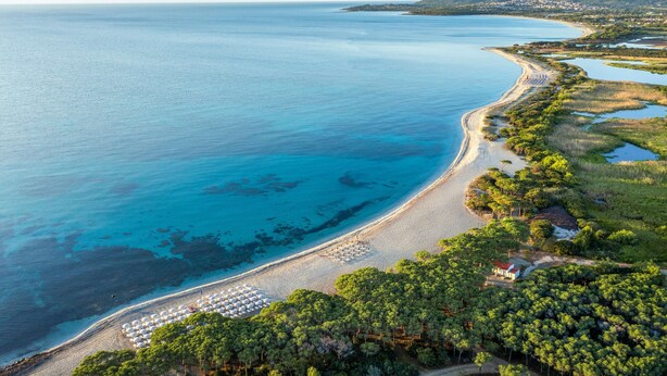 An aerial view of a coastal area with a sandy beach, clear blue waters, and lush greenery. - TUI BLUE Budoni (Budoni)
