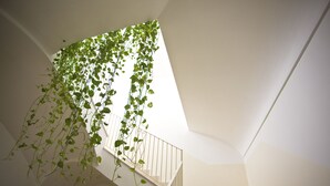 Una escalera con barandilla blanca y una planta colgante.