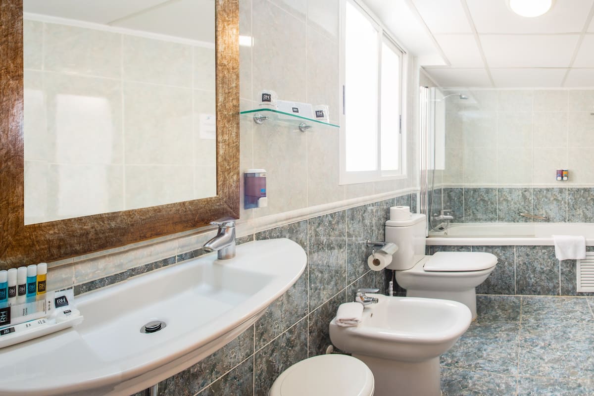 bathtub, hair dryer, bidet, towels