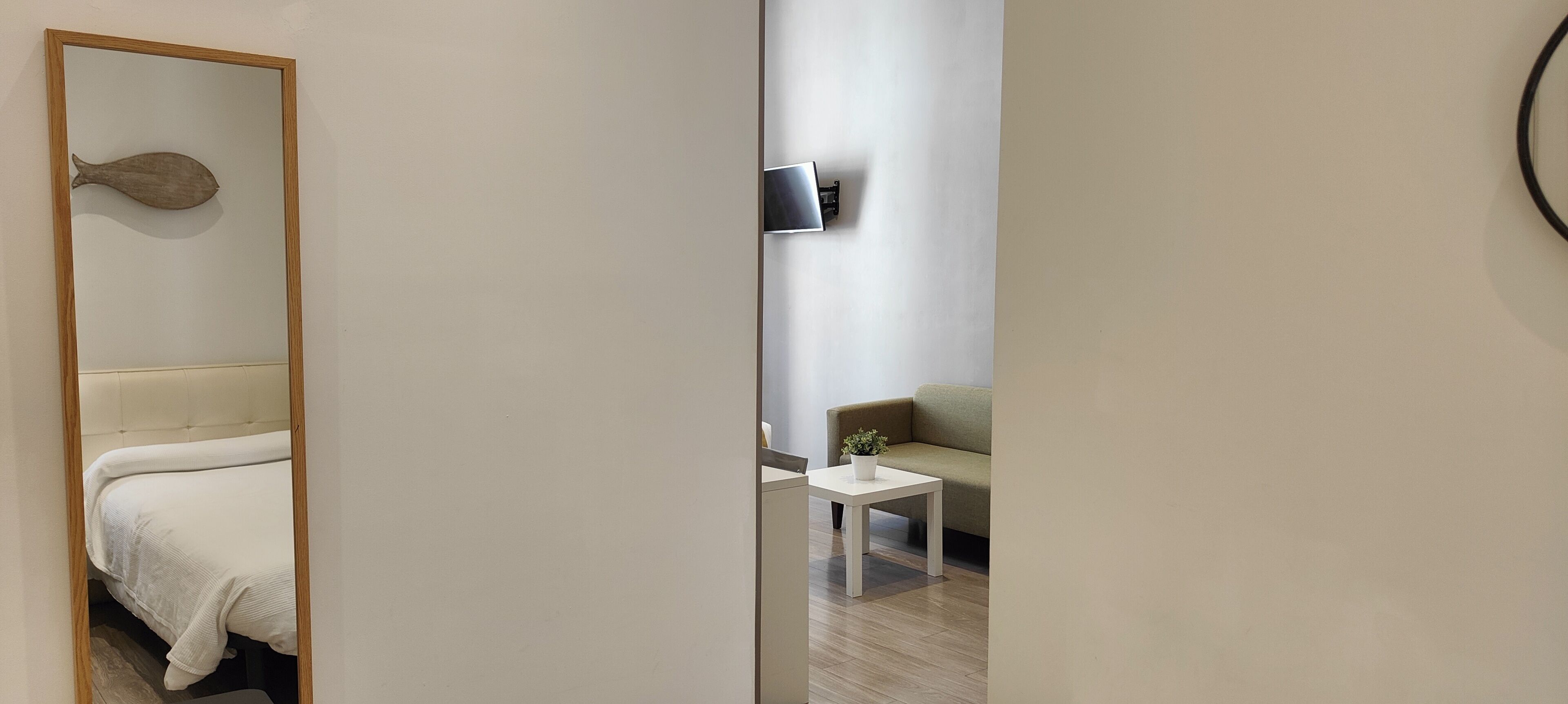 Habitació moderna amb un llit, una taula petita amb una planta i un sofà.