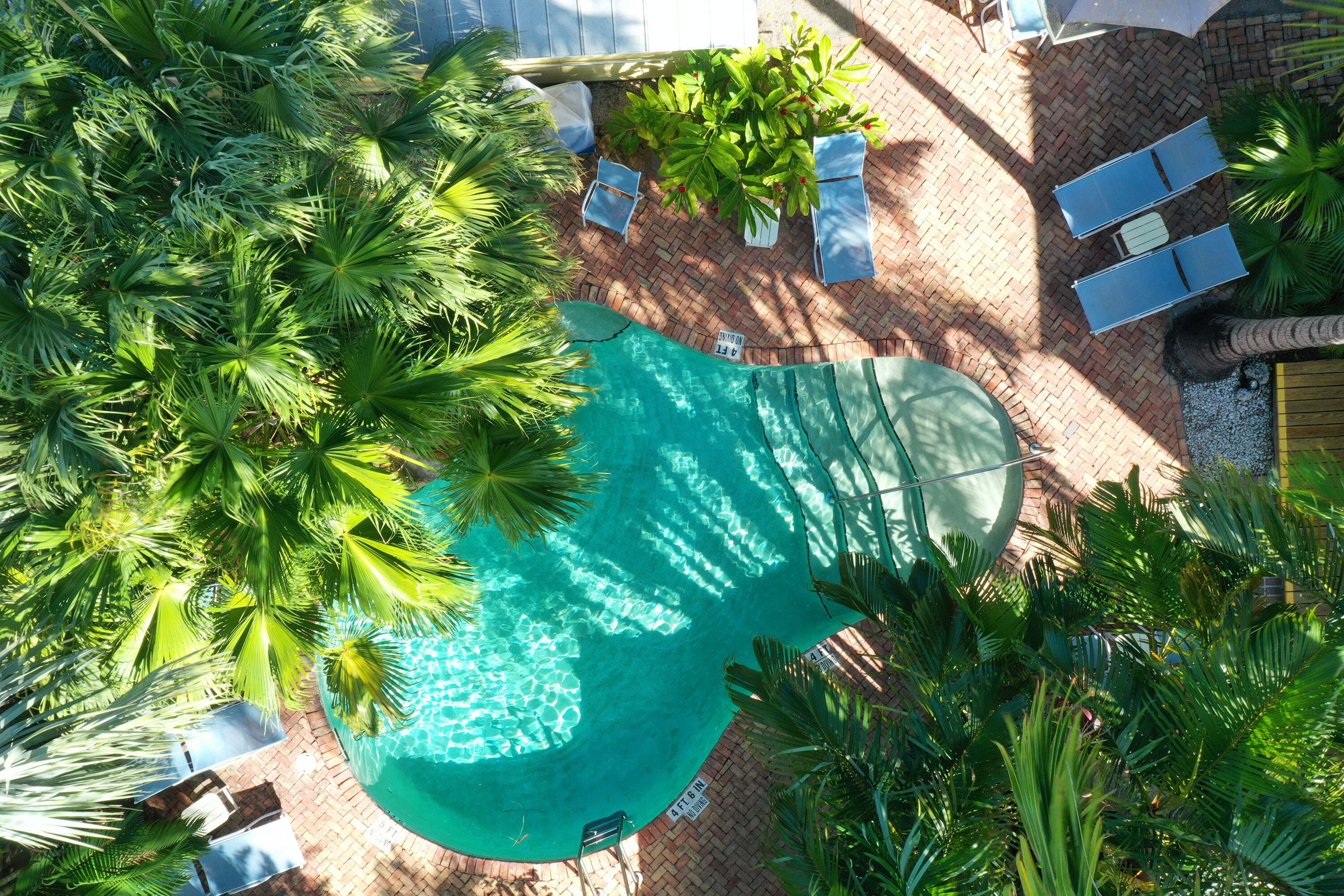 An aerial view of a swimming pool surrounded by palm trees and lounge chairs.