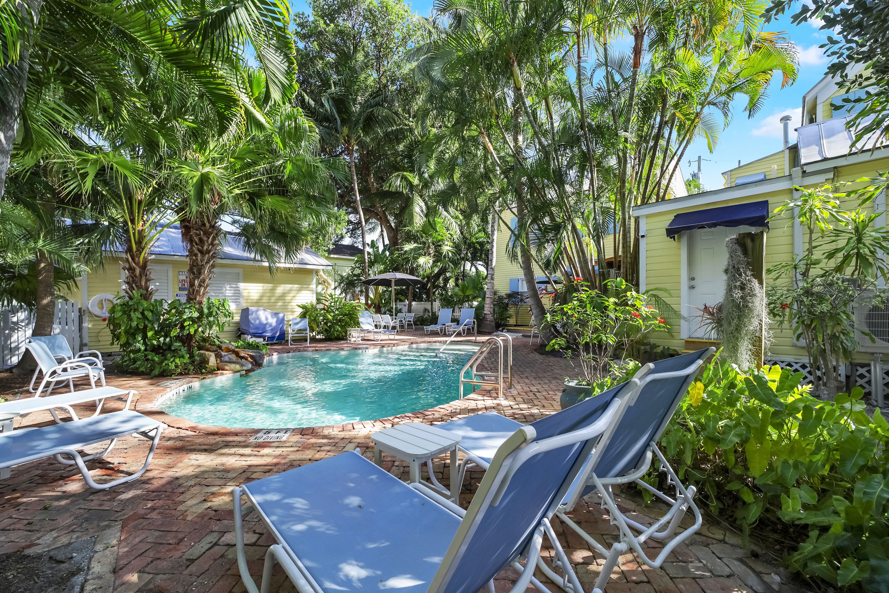 Outdoor pool, open 8:00 AM to 7:00 PM, pool umbrellas, sun loungers