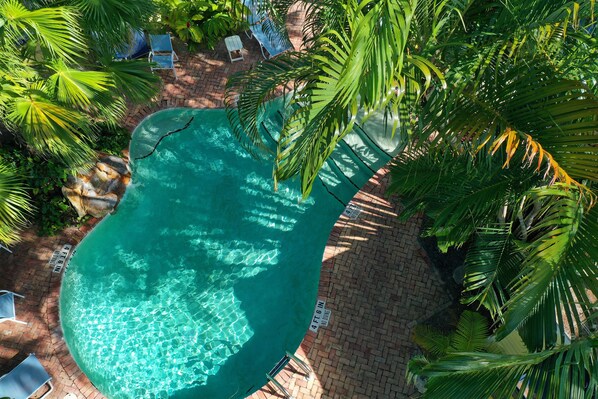Outdoor pool, open 8:00 AM to 7:00 PM, pool umbrellas, pool loungers