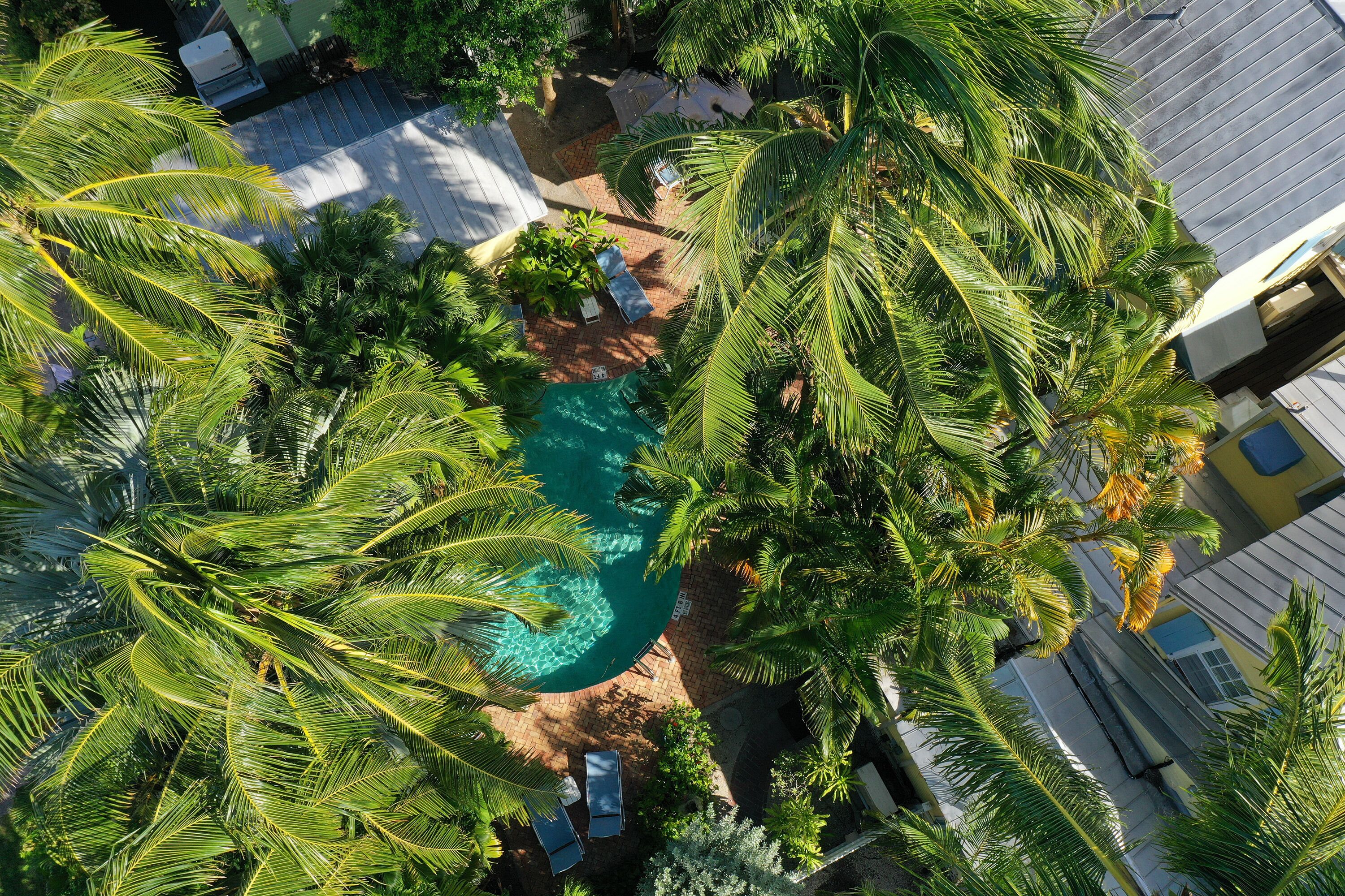 Piscine extérieure, parasols de plage, chaises longues
