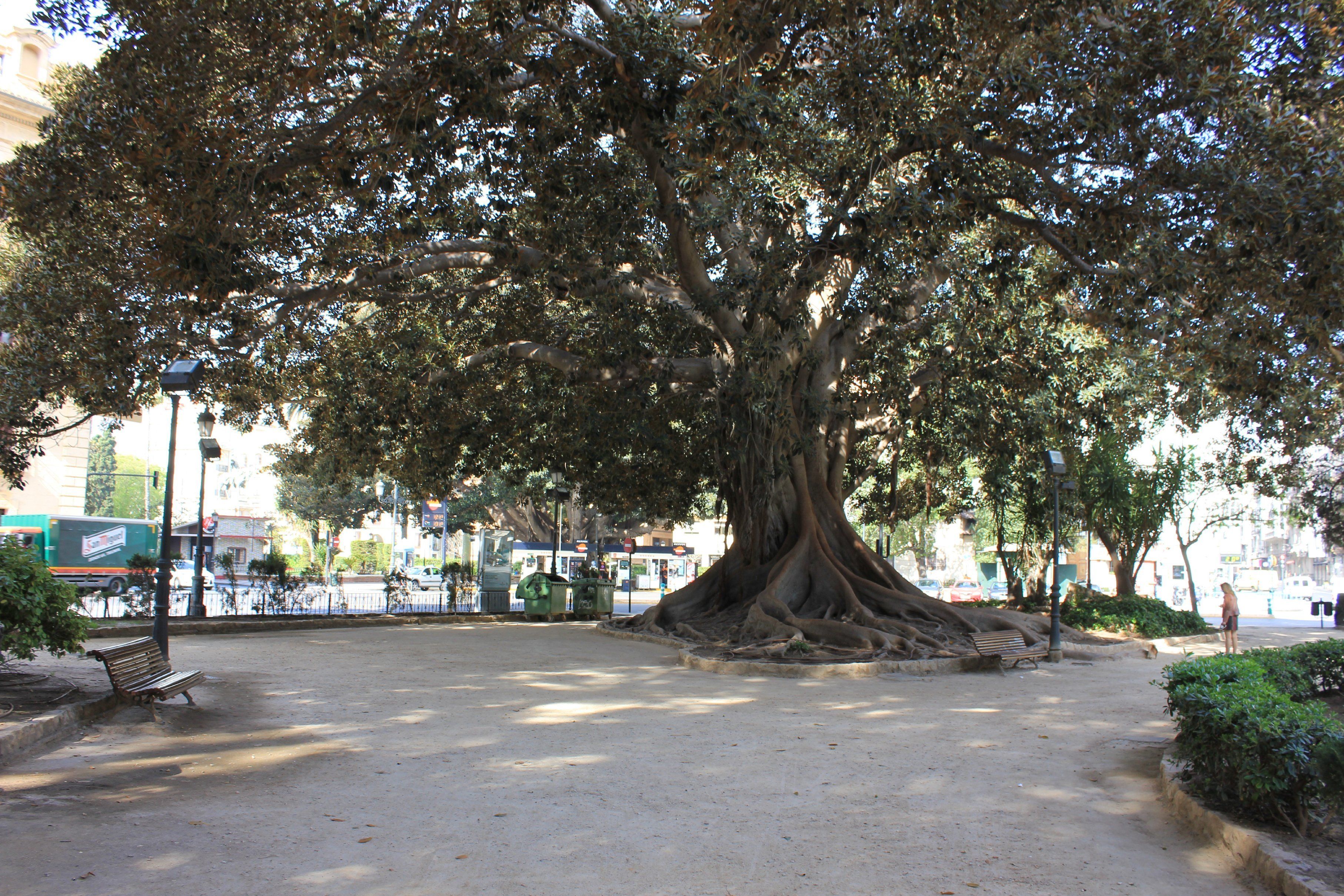 Photo - Hi Valencia Boutique