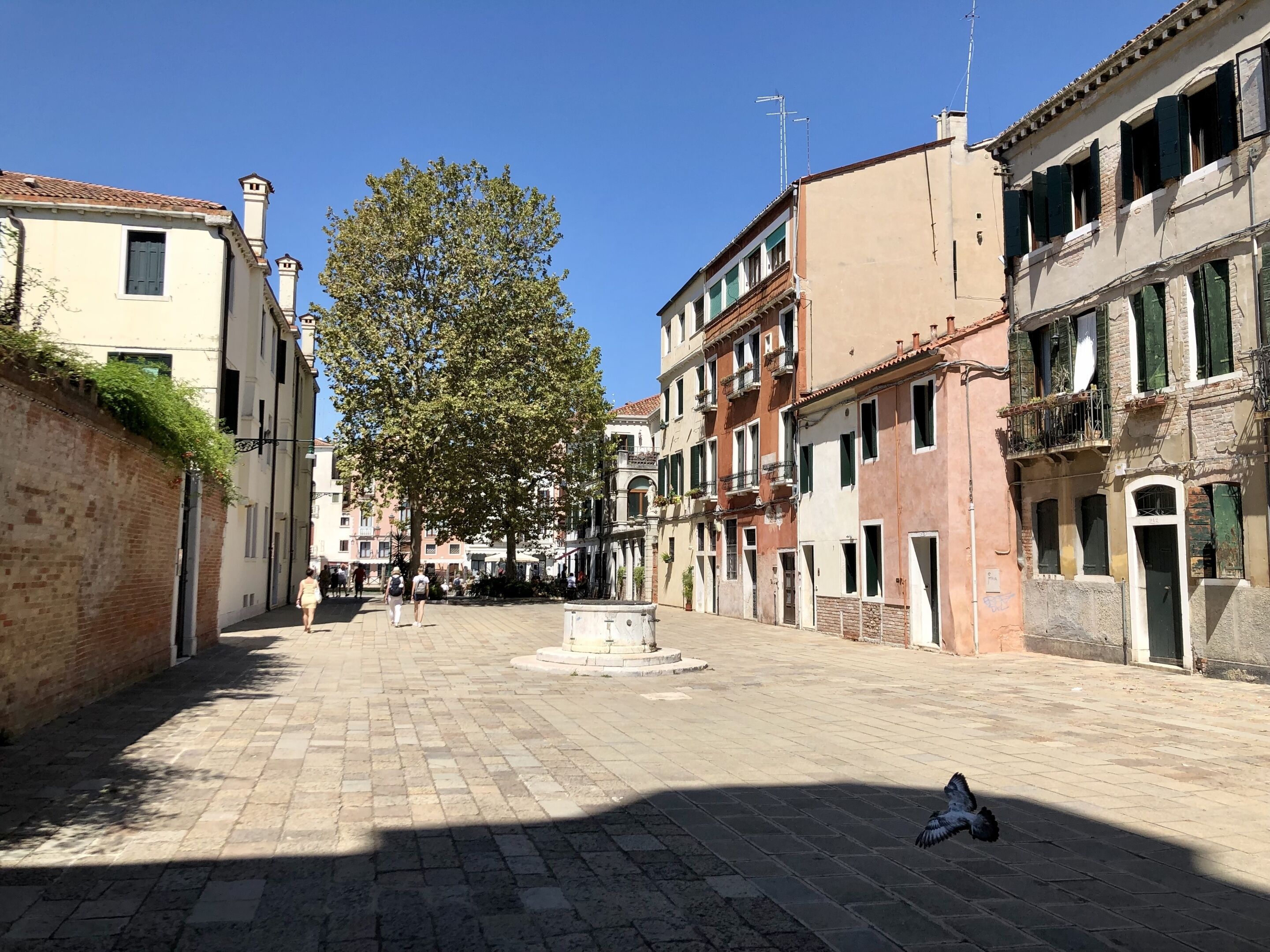 Foto - Alloggi Serena