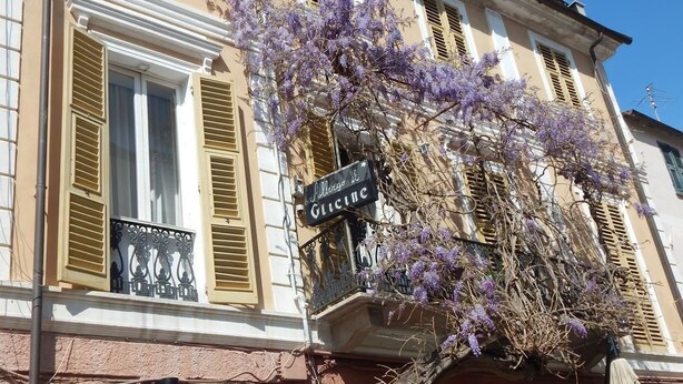 Front of property - Albergo Il Glicine (Noli)