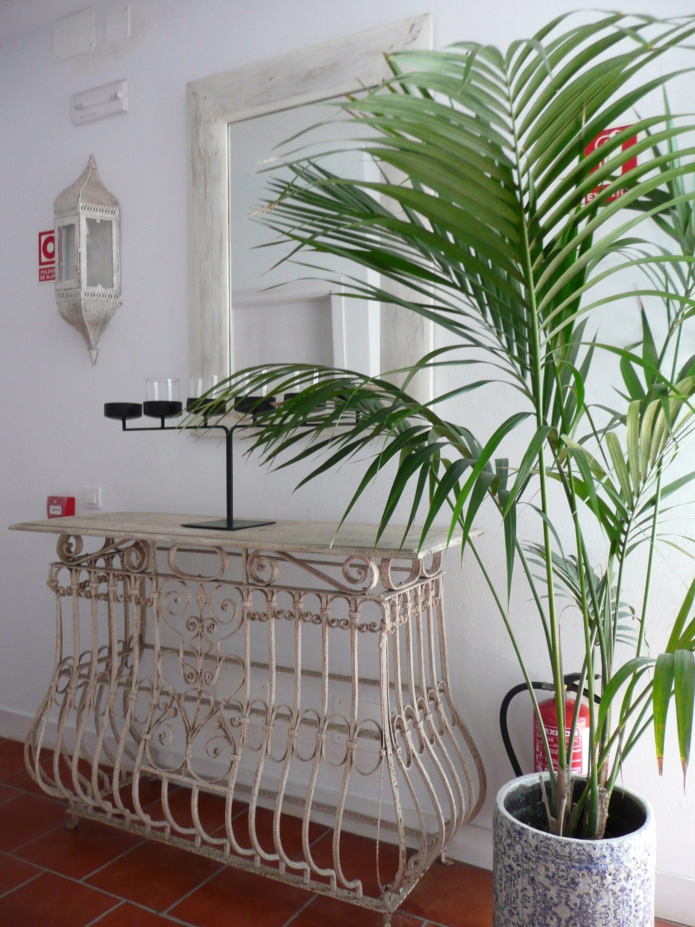 A room with a white wall, a white-framed mirror, a metal table with a candle holder, and a potted plant.