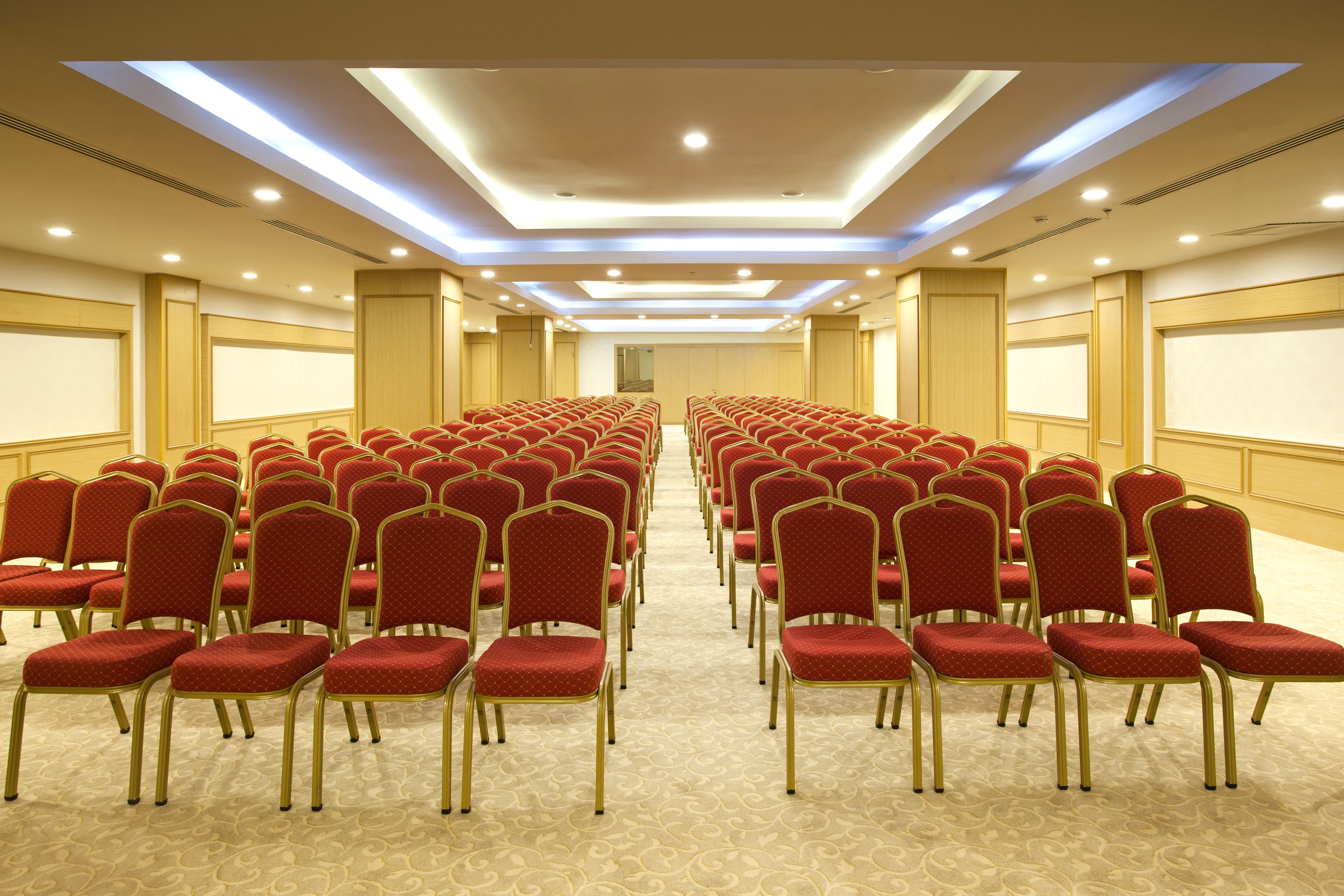 Photo - Asteria Bloom Side