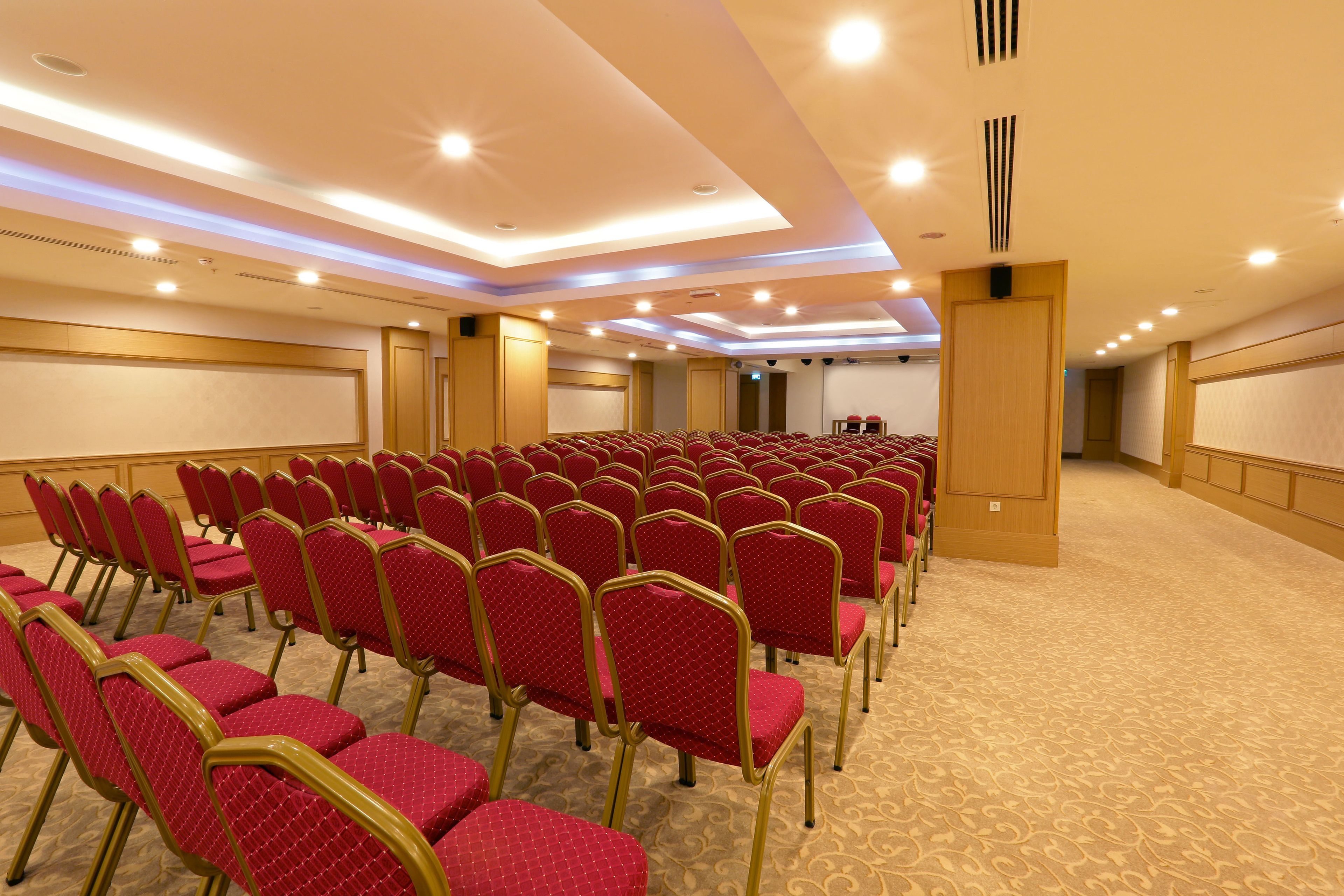 Photo - Asteria Bloom Side