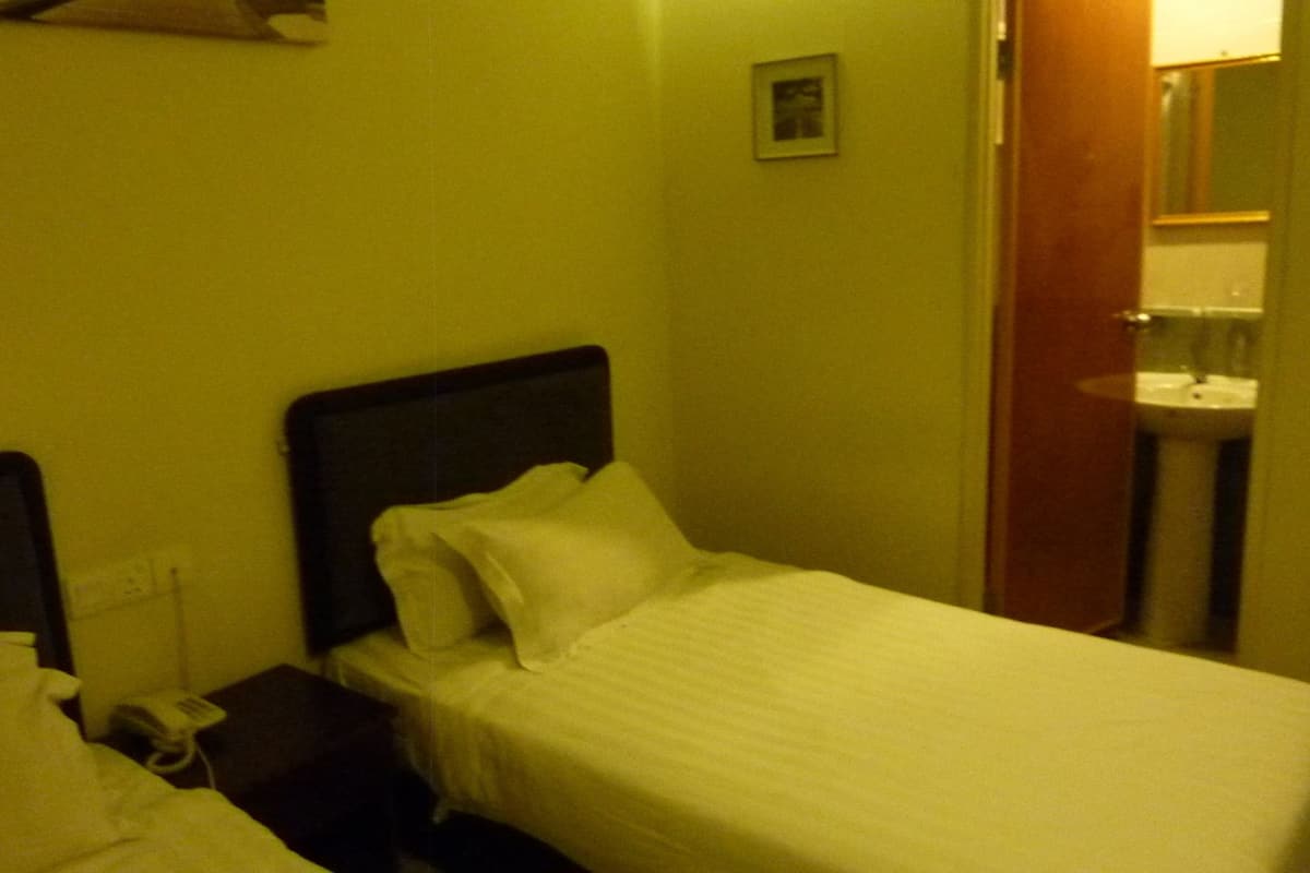 Deluxe Double Room, 2 Single Beds, City View