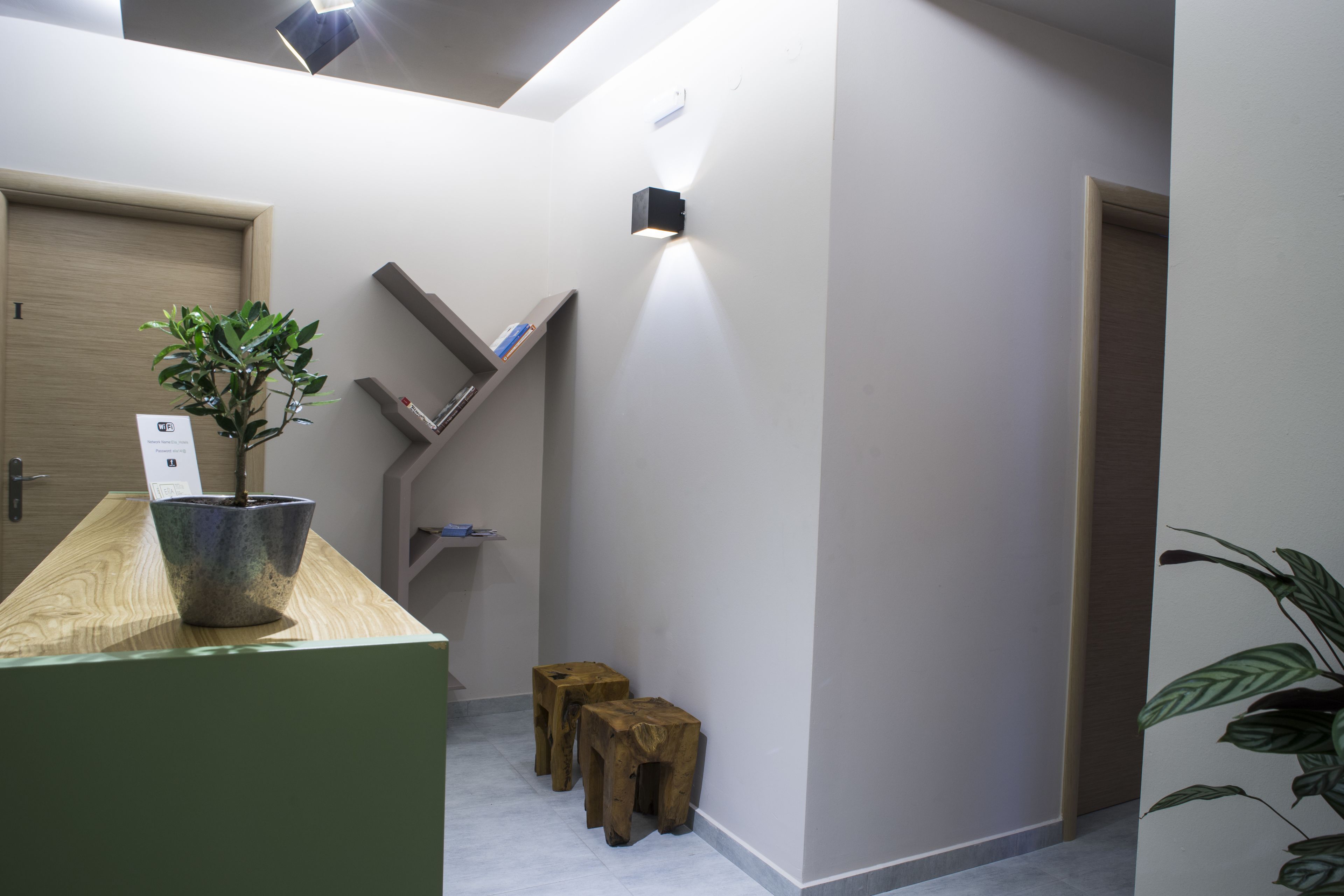 A modern reception area with a wooden counter, a potted plant, and a wall-mounted light fixture.