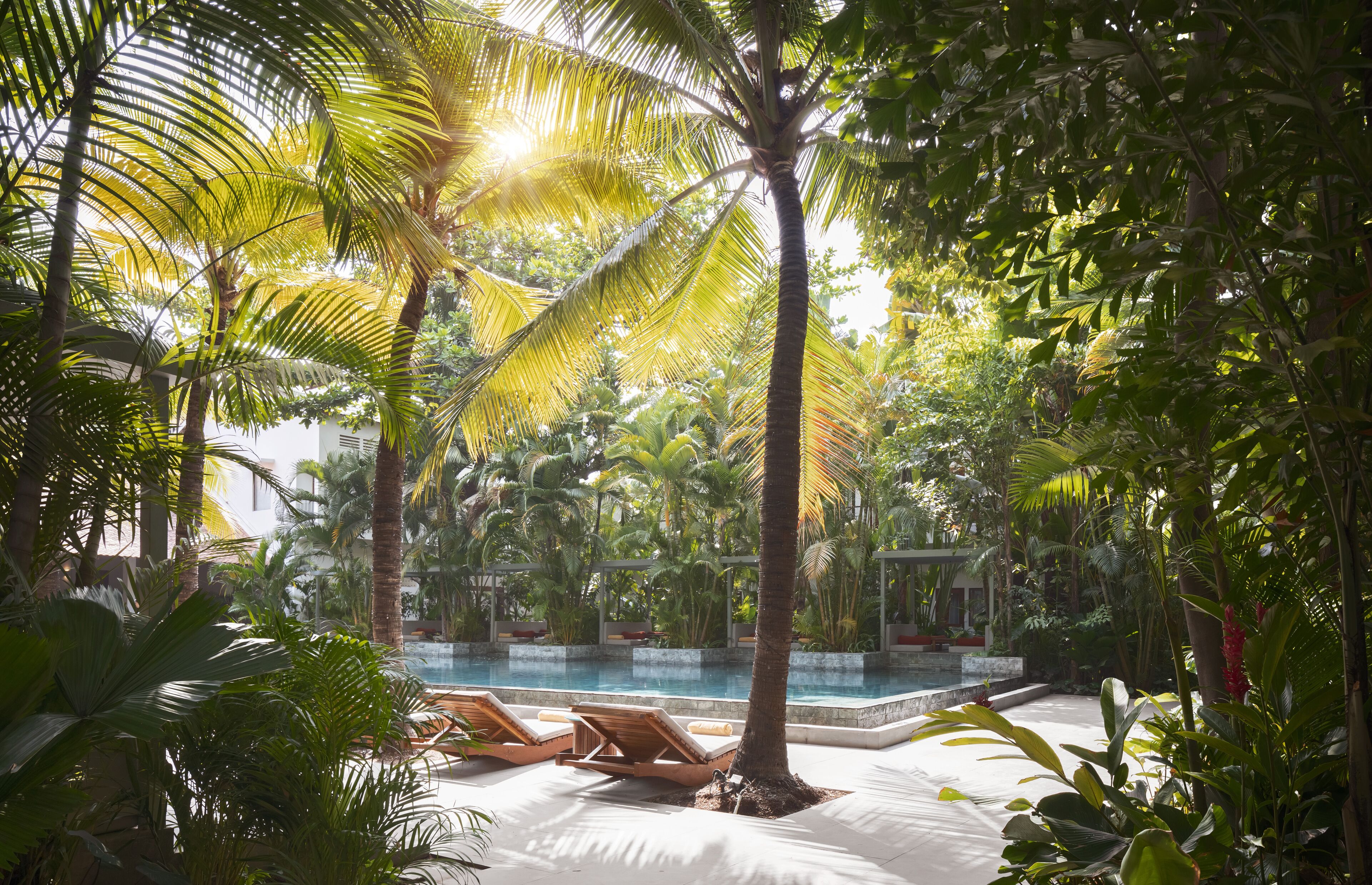 Un espace piscine agrémenté de palmiers, de chaises longues et offrant une vue dégagée sur la piscine.
