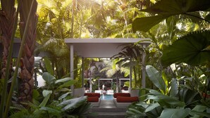 A tropical garden with a pool, steps leading to a seating area, and lush greenery. - Plantation Urban Resort & Spa (Phnom Penh)