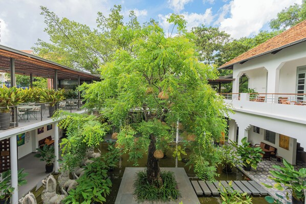 Un patio con un árbol central, rodeado de plantas en macetas y una pequeña fuente.