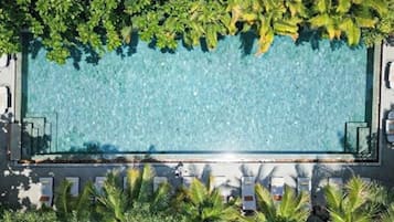 Une vue aérienne d’une piscine rectangulaire, entourée d’une végétation luxuriante et ombragée par des arbres.