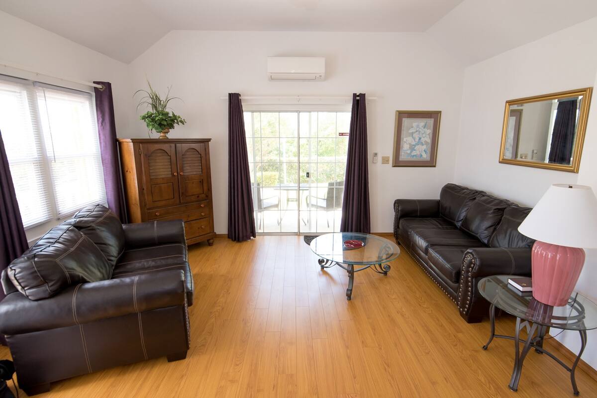 A living room with two leather sofas, a glass coffee table, a wooden cabinet, and a potted plant.