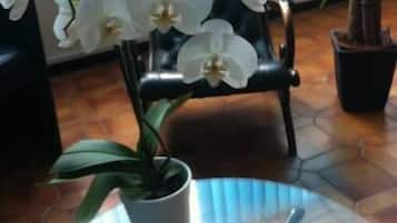 Recepción
