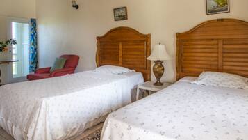 Desk, iron/ironing board, free WiFi