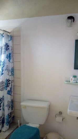 Basic Room, Ocean View | Bathroom