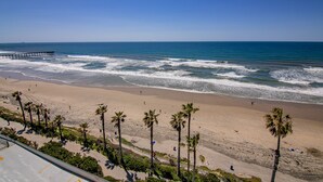 A beach with palm trees, a pier, and a clear blue sky. - Capri Beach Accommodations (San Diego)