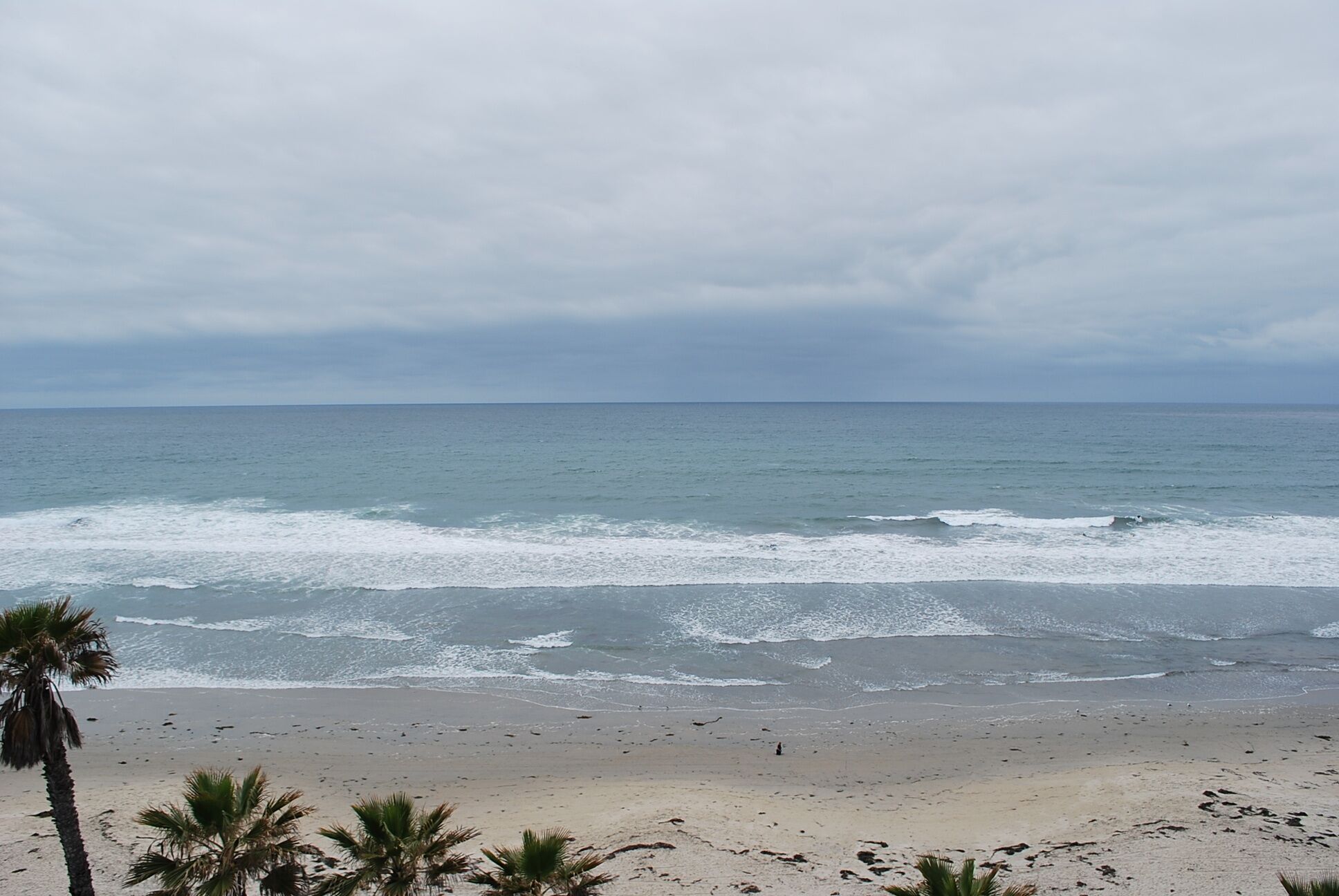 Une plage avec des vagues, des palmiers et un ciel nuageux.