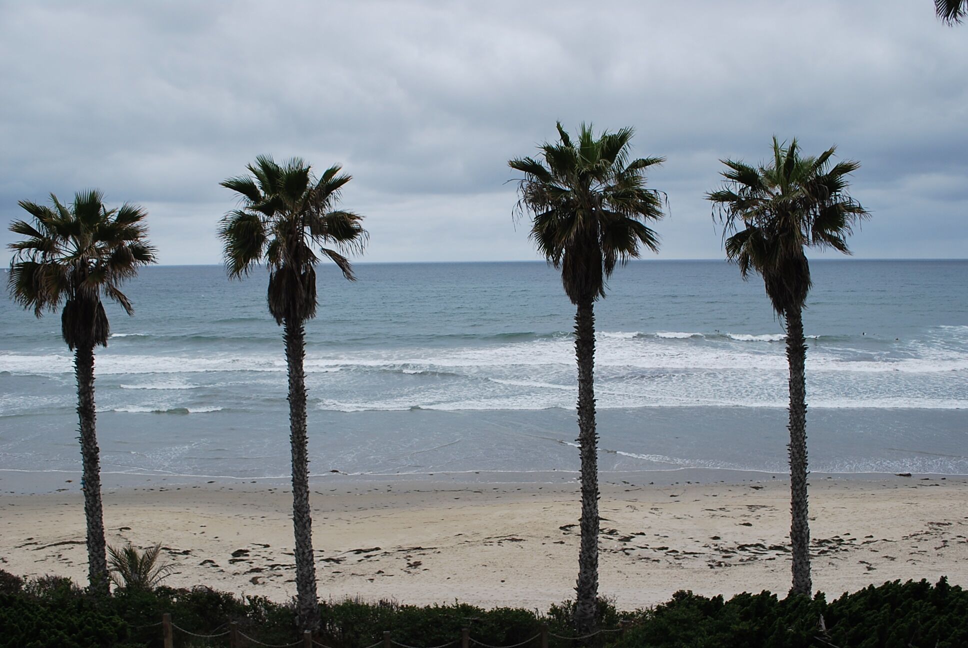 Una playa con palmeras y el océano.