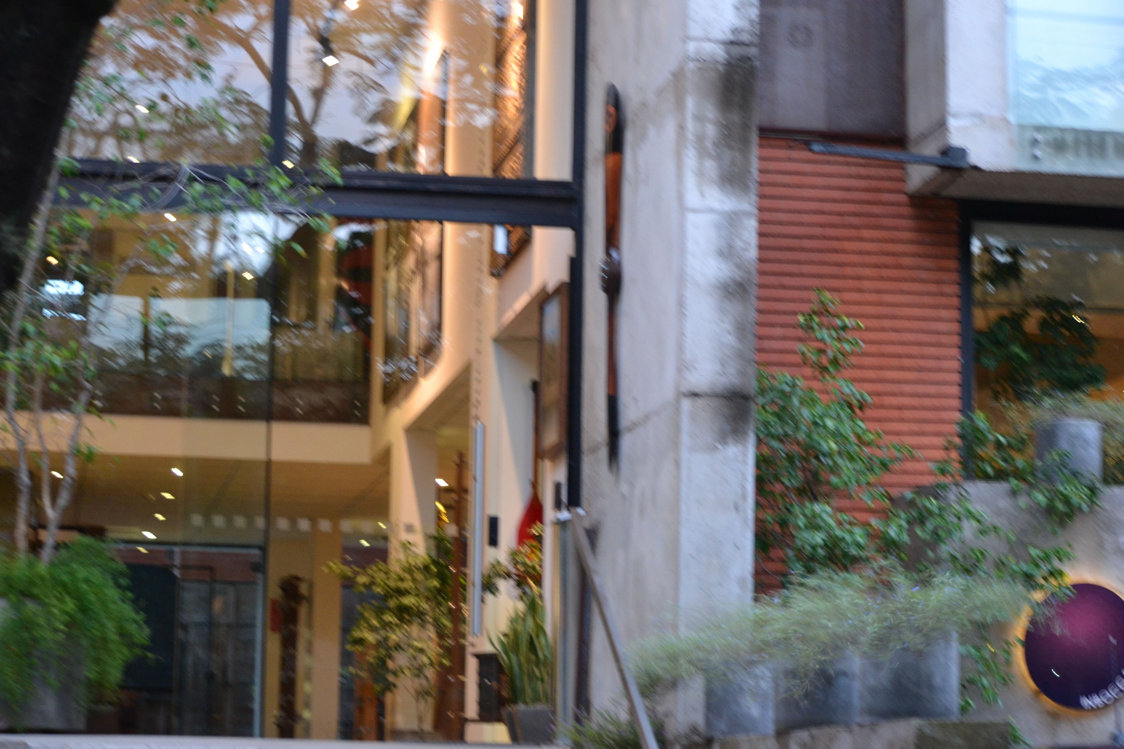 Foto - Alfonsina Hotel Boutique