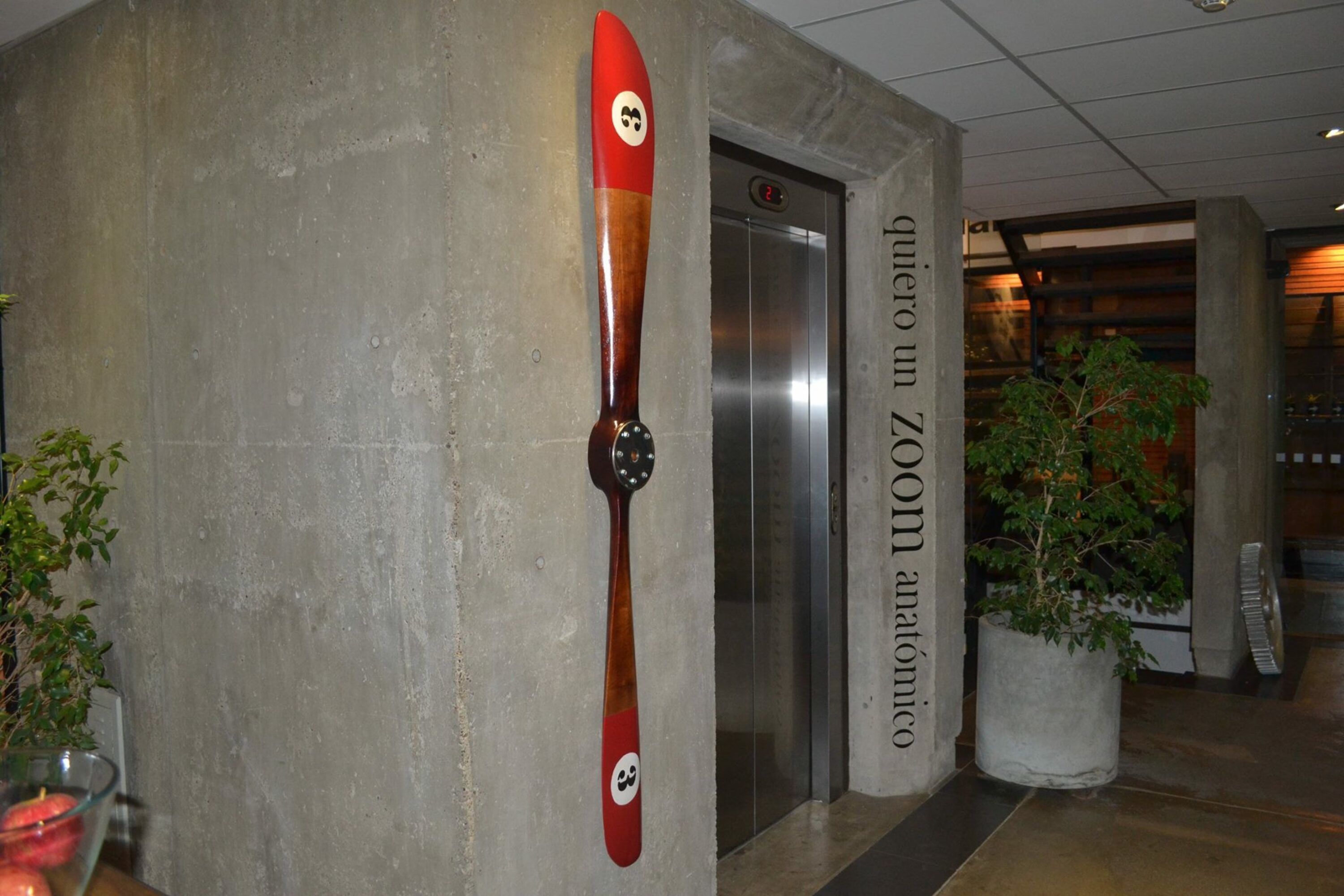 A concrete wall with a large wooden paddleboard decoration and a potted plant.
